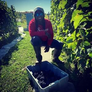 Meet your Posher, Cyr